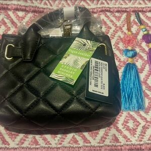 Badgley Mischka Black Quilted Handbag